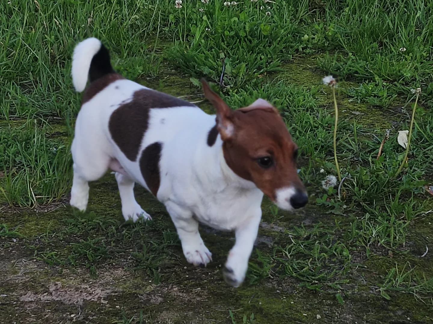 carousel-image-mobile-4