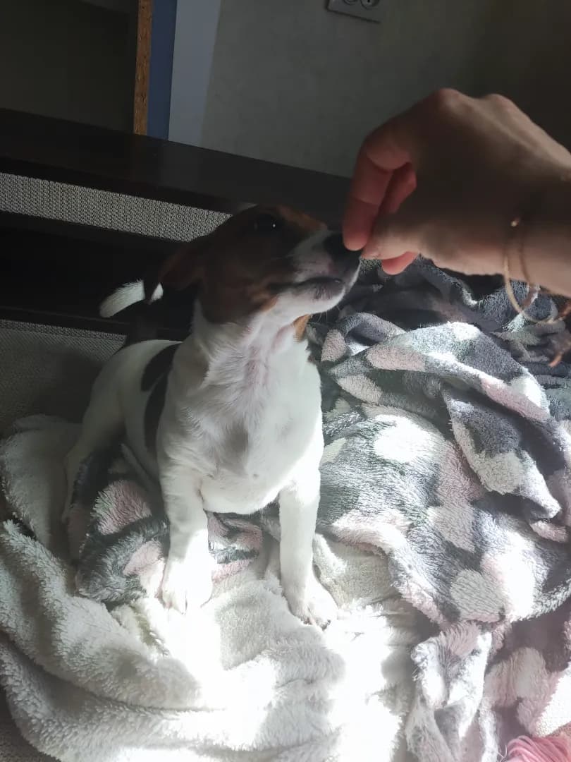 carousel-image-mobile-6