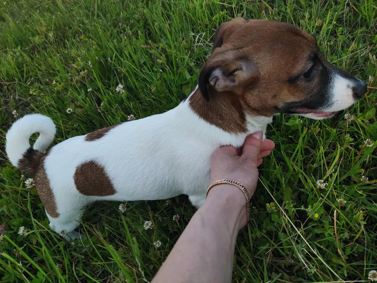 carousel-image-mobile-1