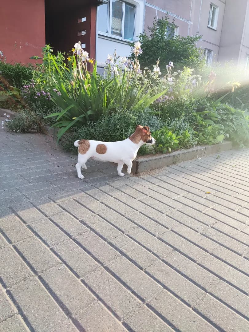 carousel-image-mobile-2