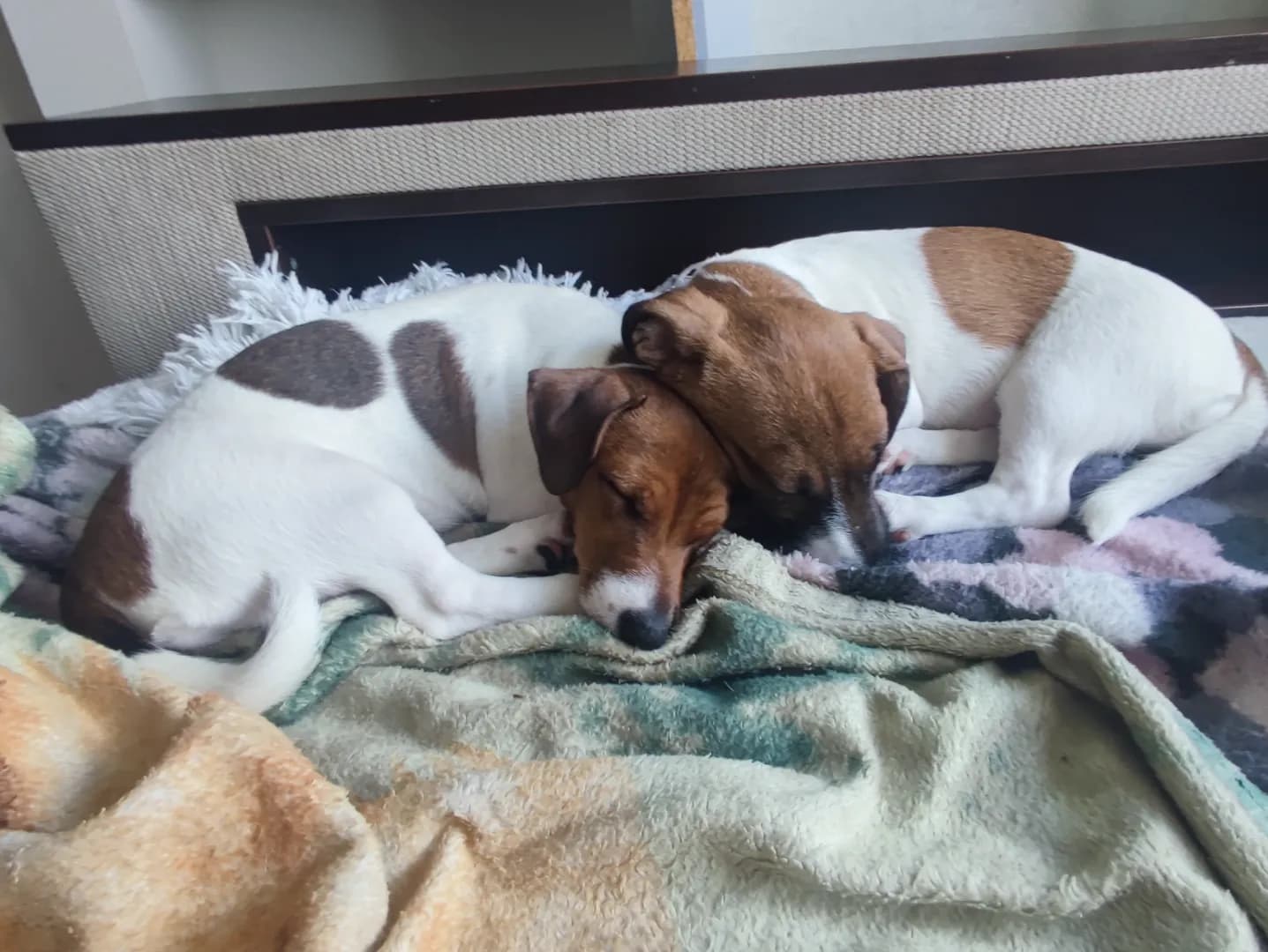 carousel-image-mobile-5