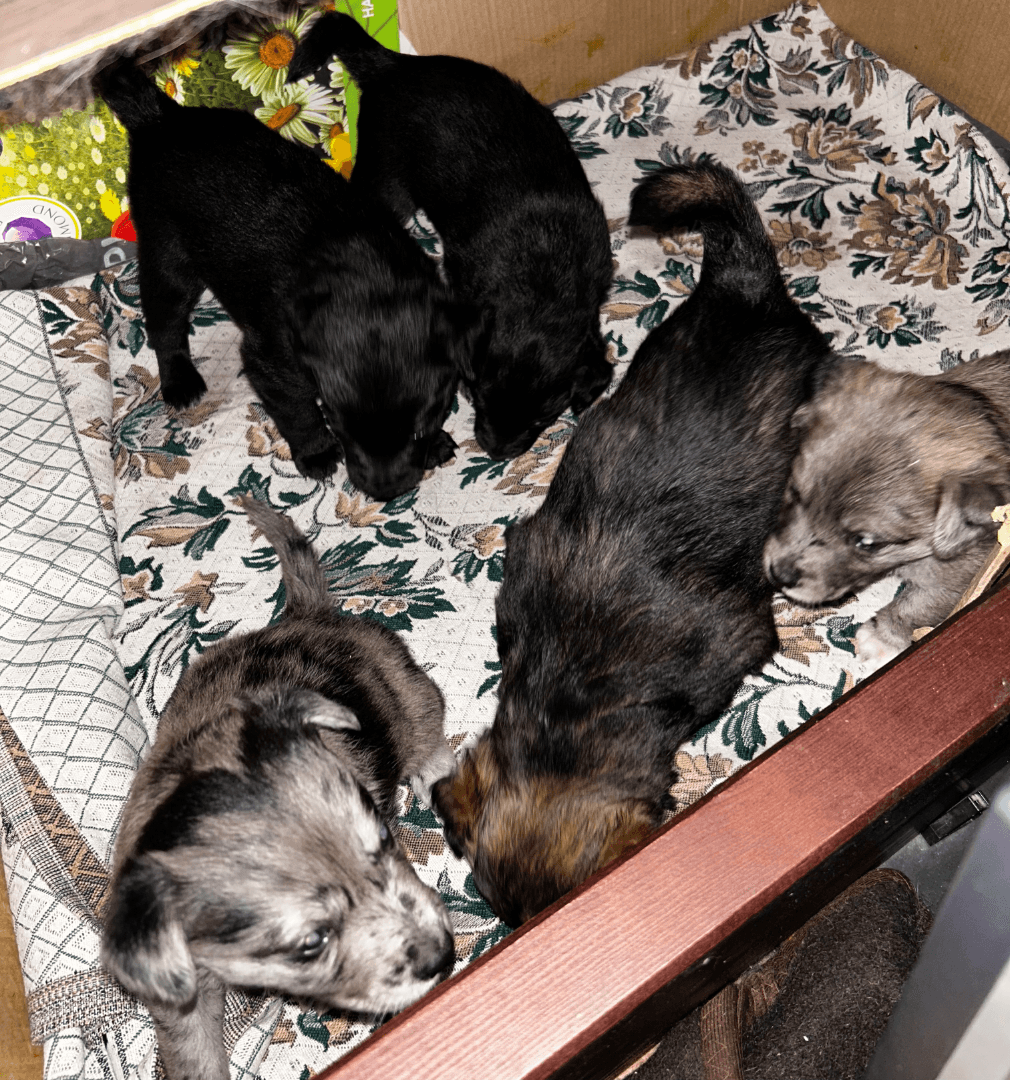 carousel-image-mobile-2