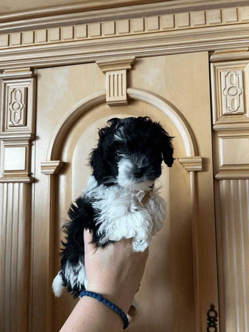 carousel-image-mobile-1