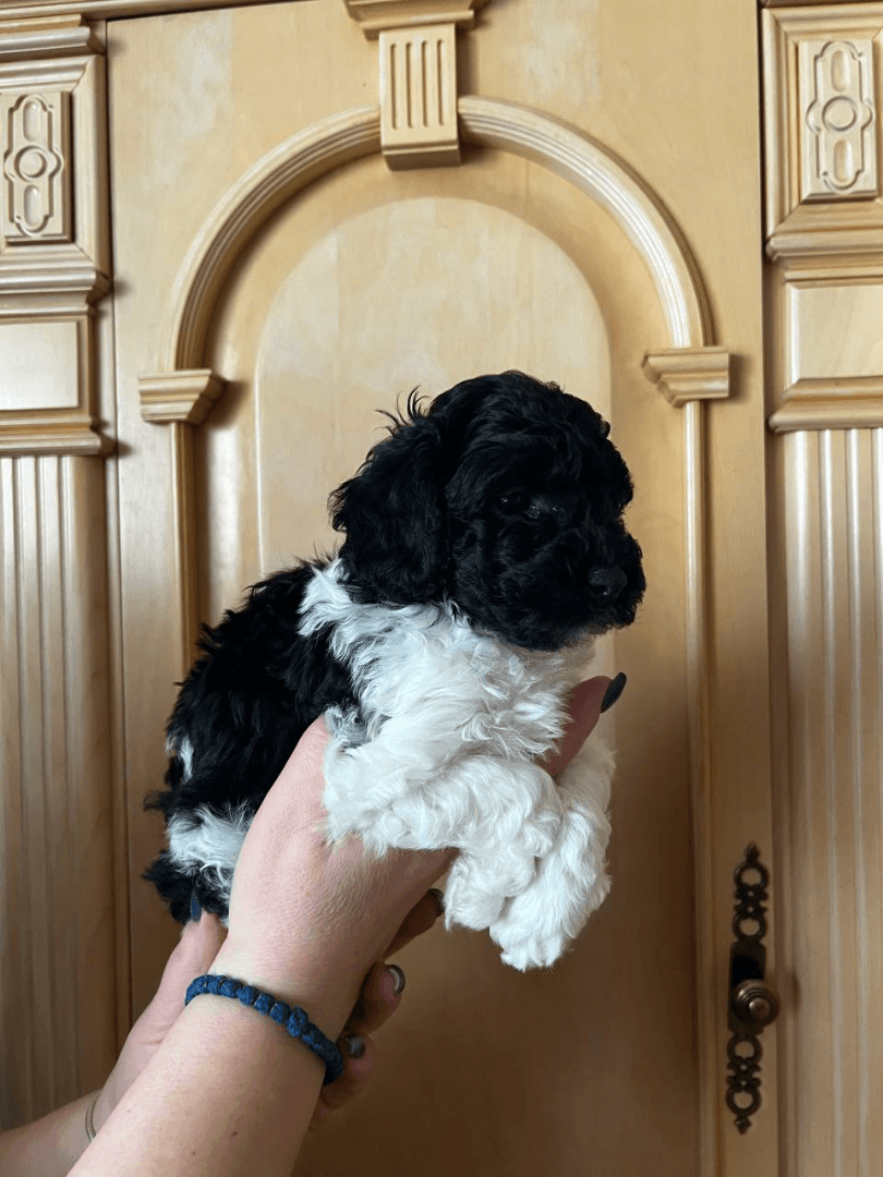 carousel-image-mobile-4