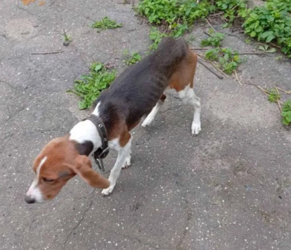 carousel-image-mobile-1