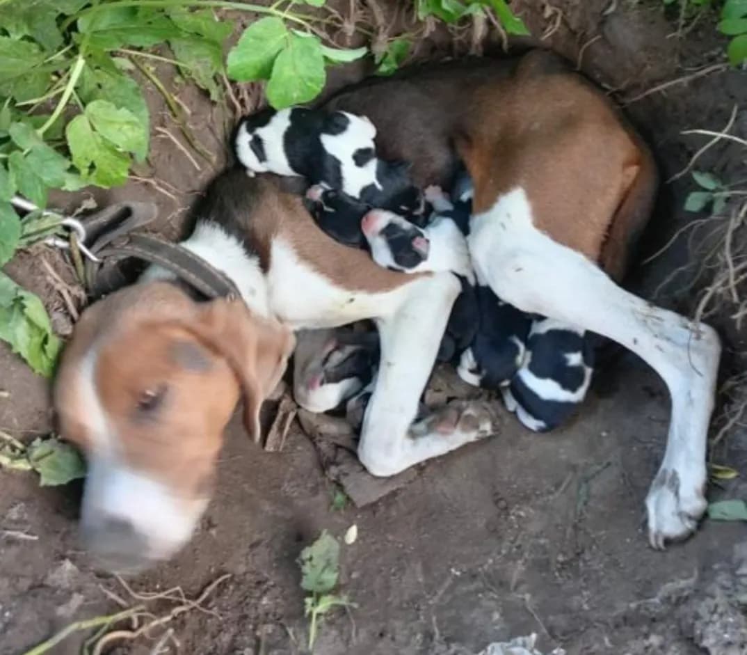 carousel-image-mobile-2