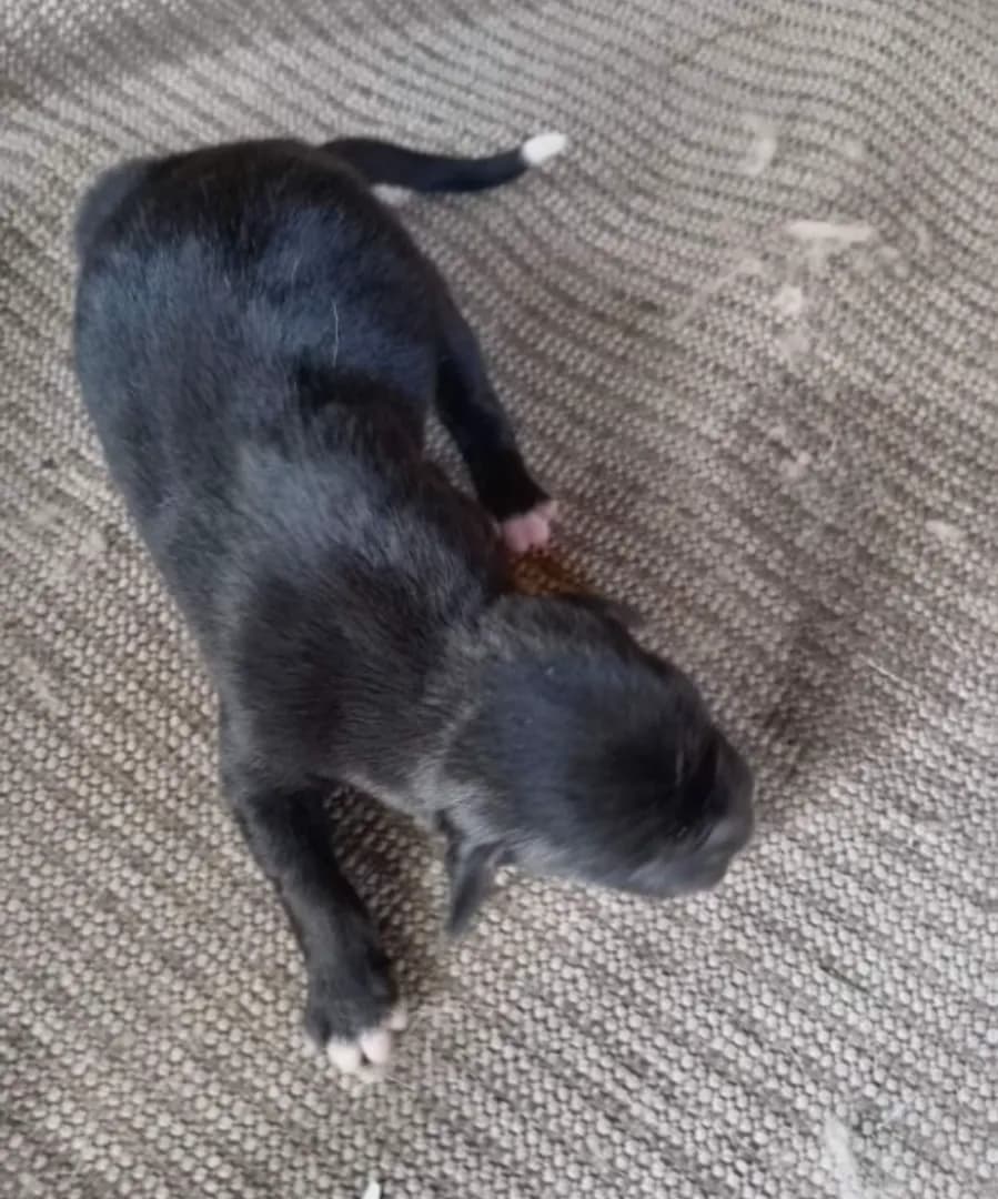 carousel-image-mobile-3