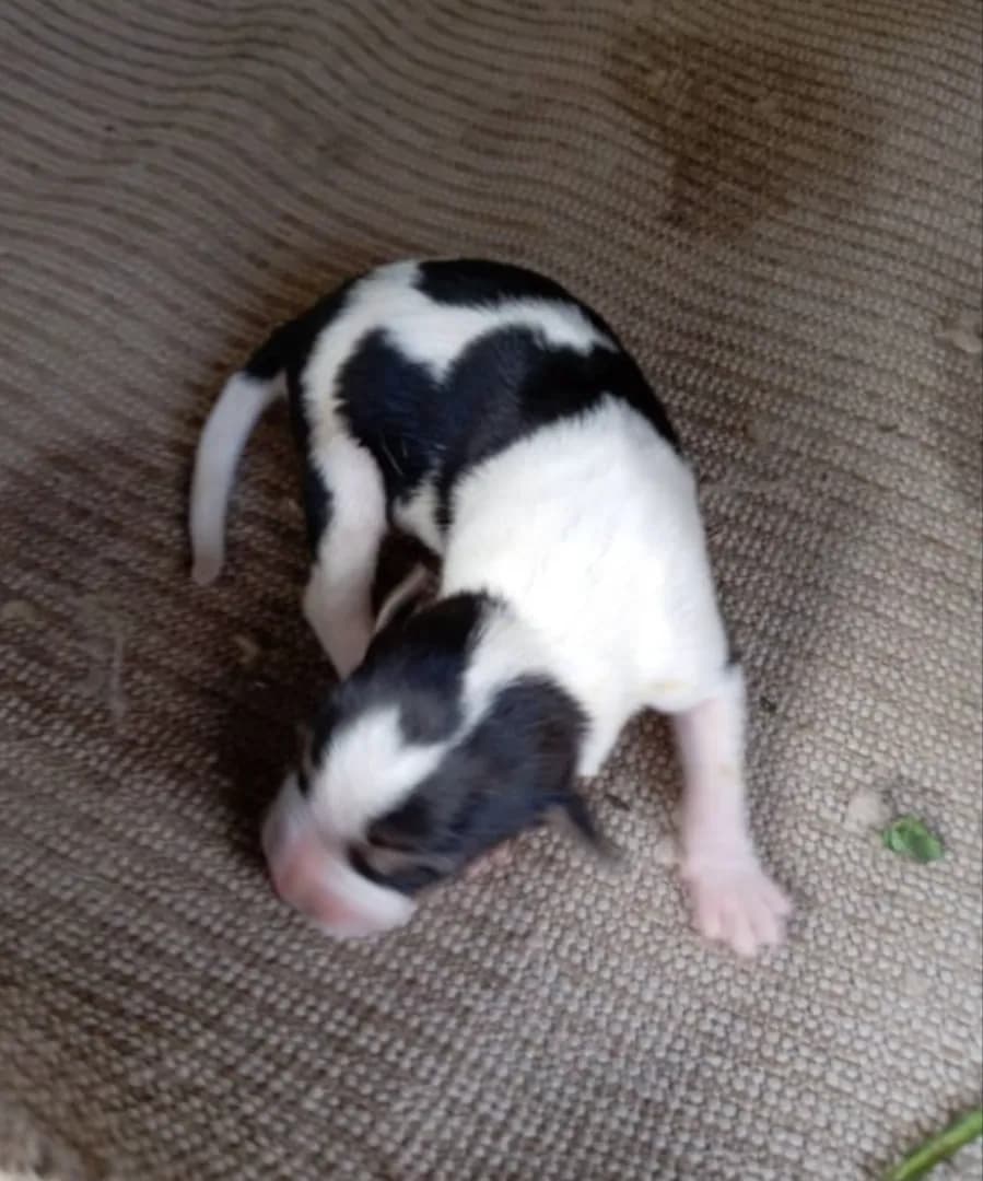 carousel-image-mobile-5