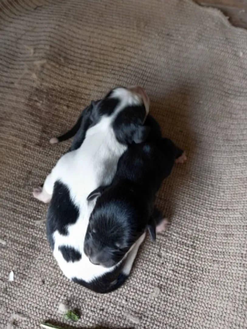 carousel-image-mobile-6