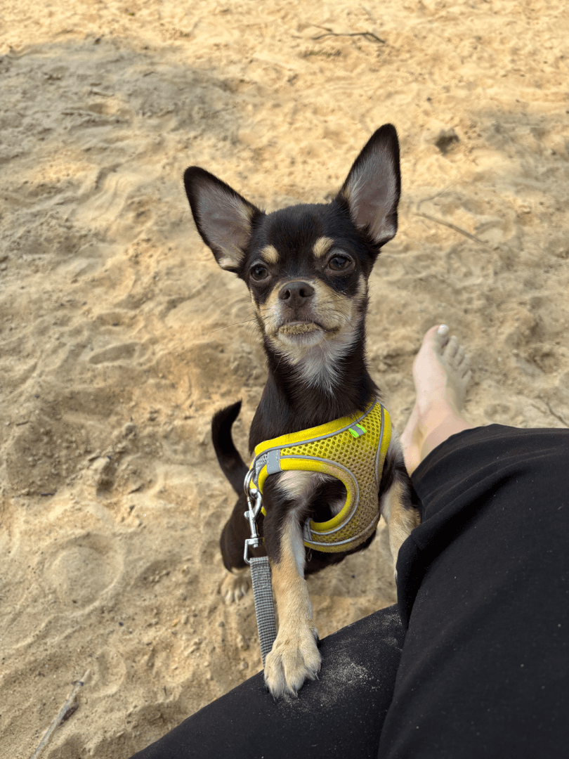 carousel-image-mobile-2