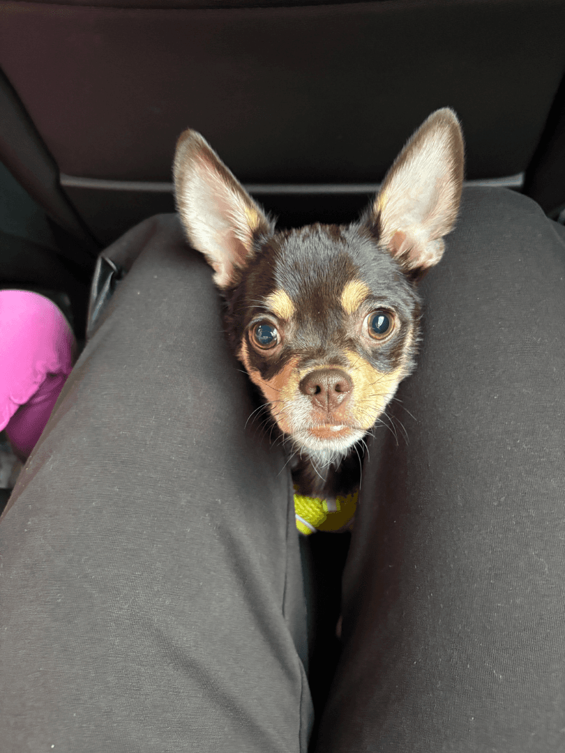 carousel-image-mobile-3