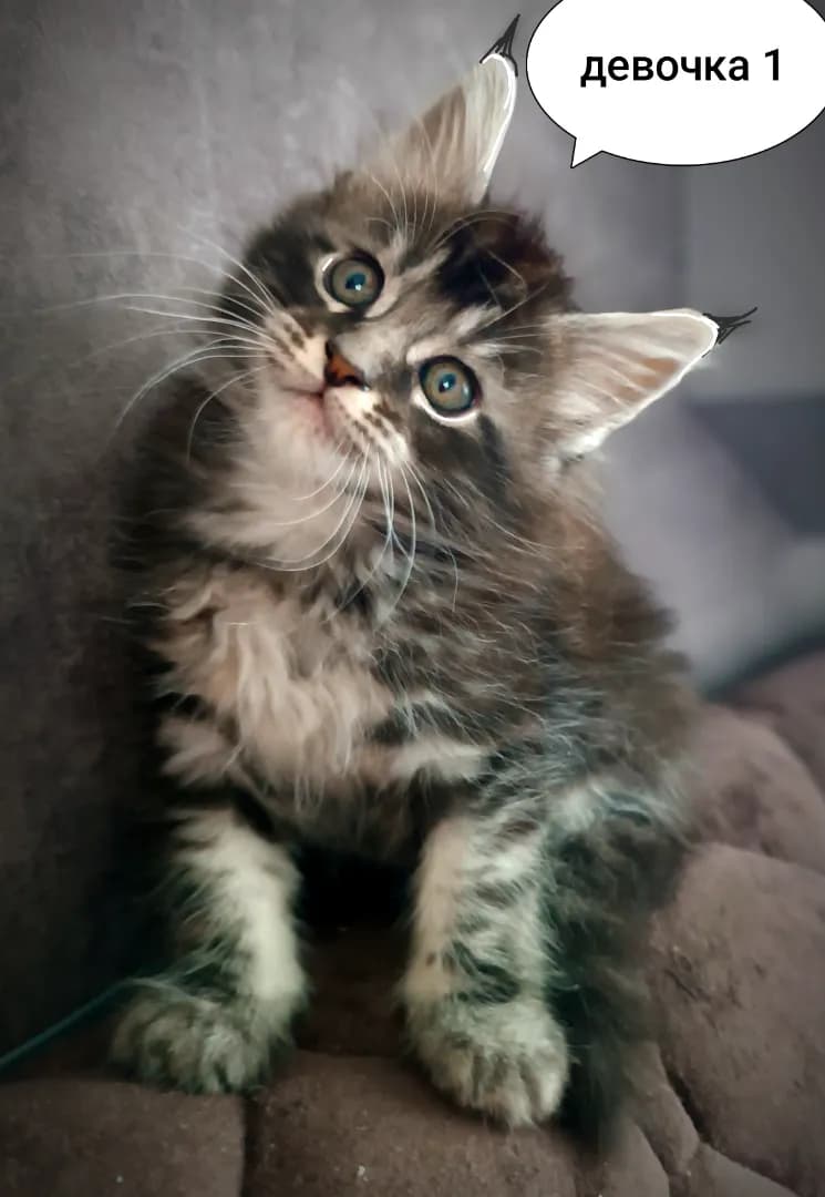 carousel-image-mobile-1