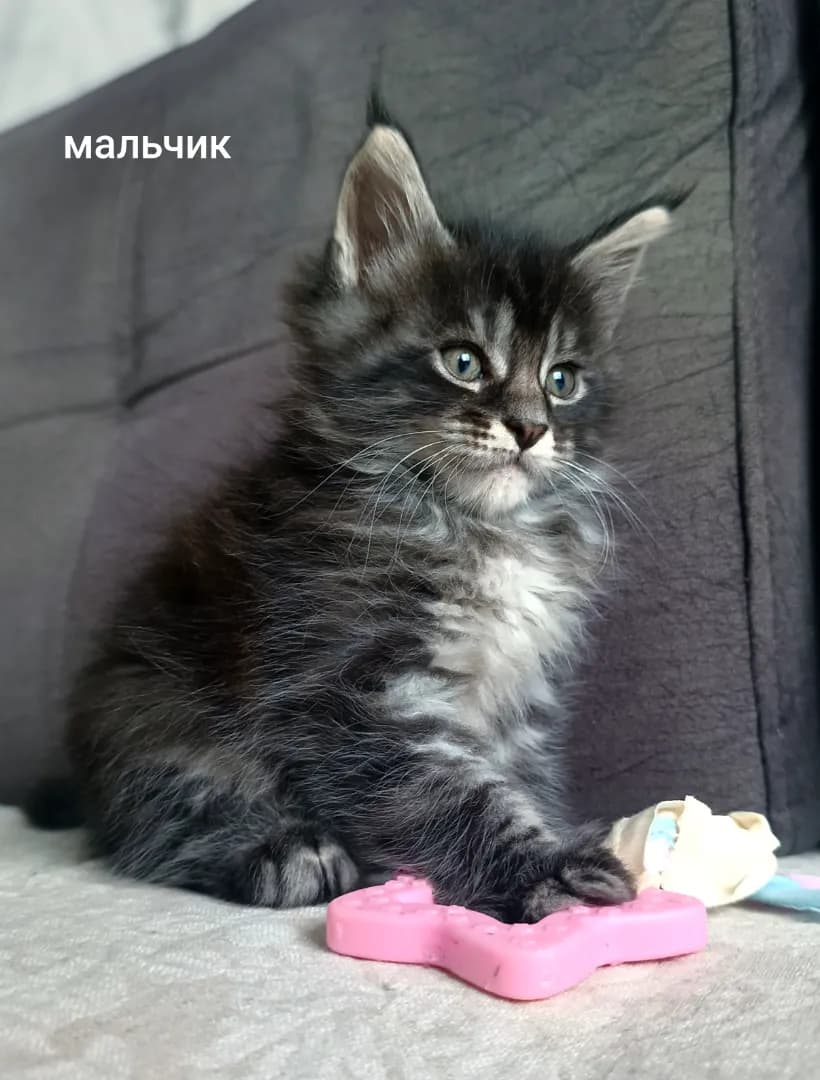 carousel-image-mobile-3