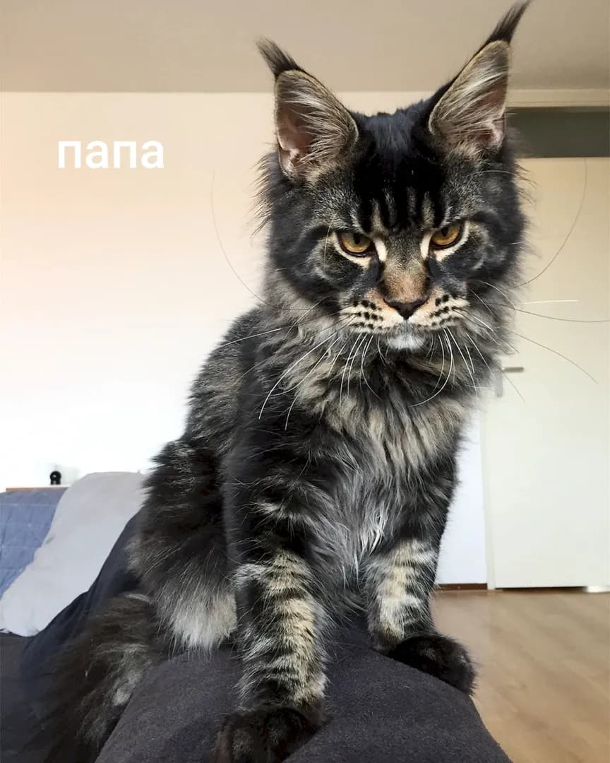 carousel-image-mobile-4