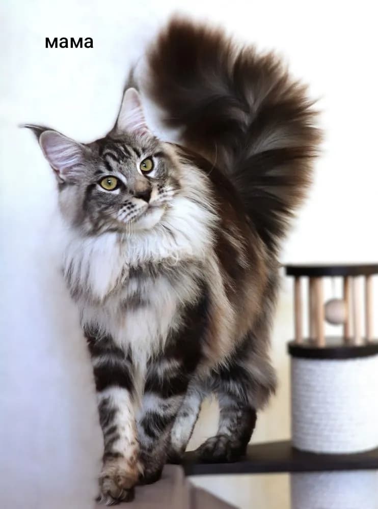 carousel-image-mobile-5