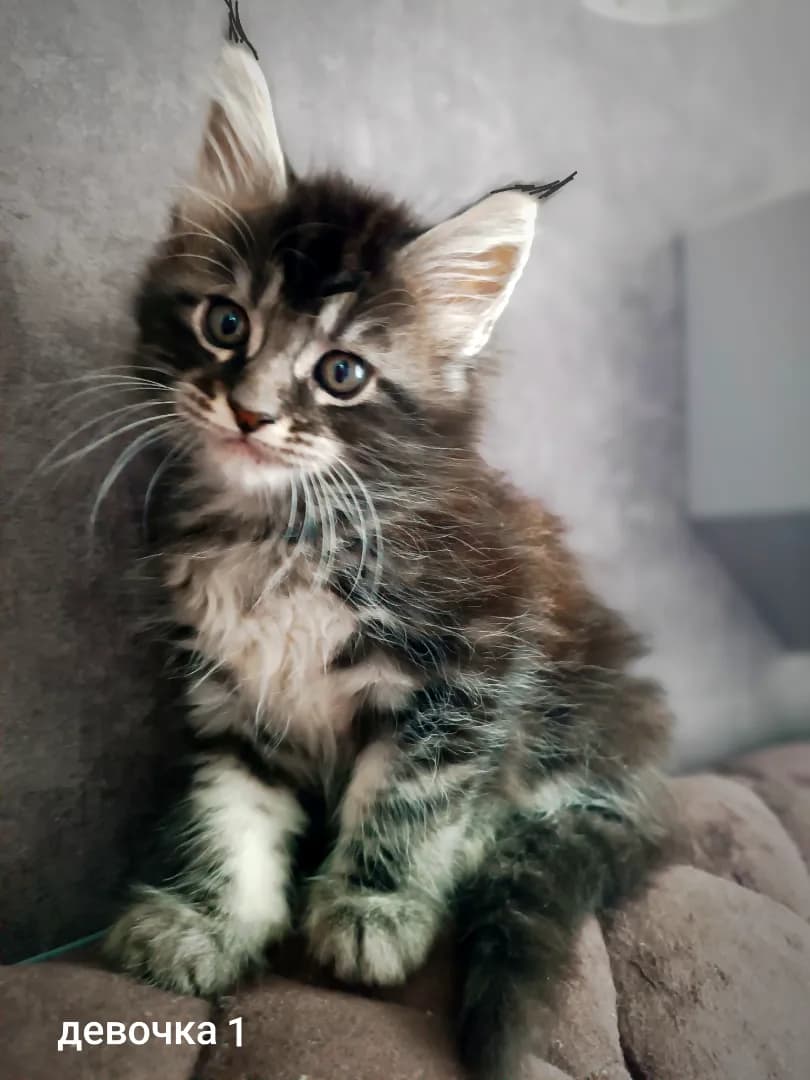 carousel-image-mobile-6