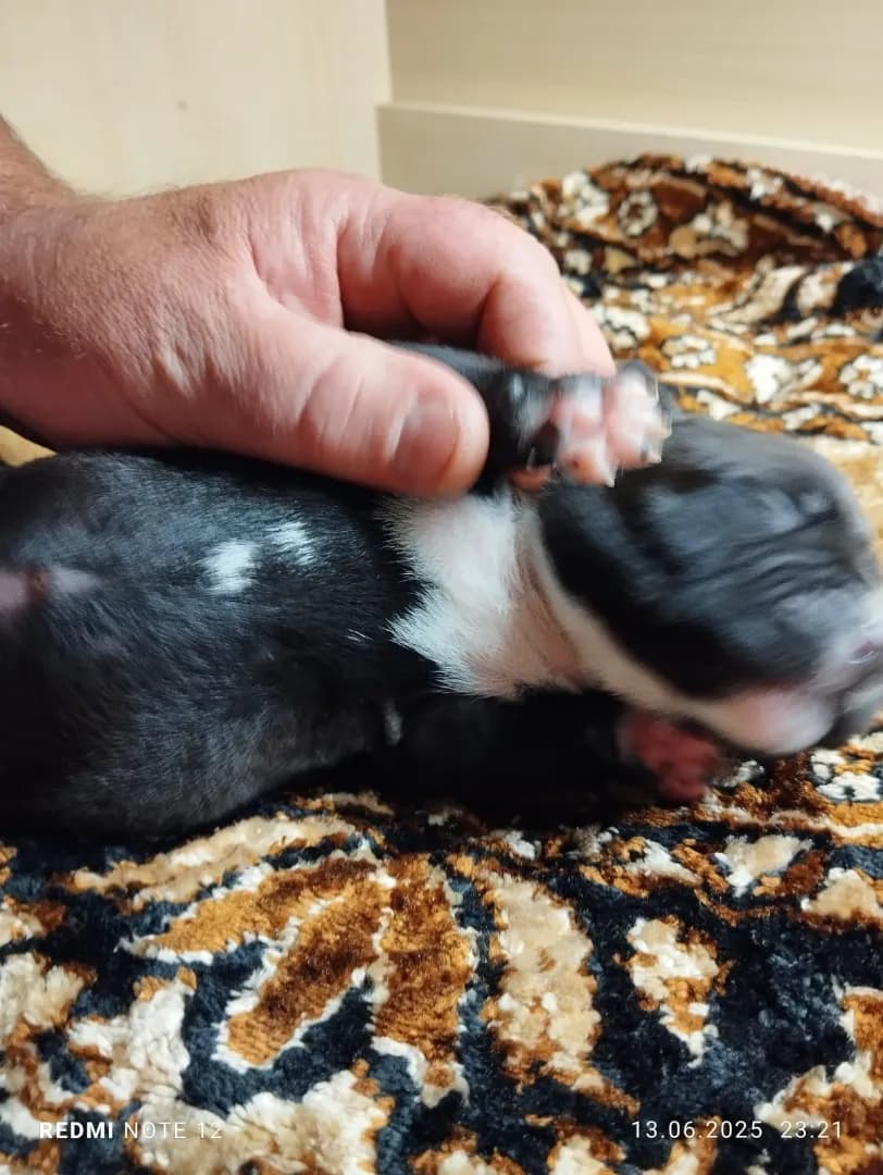 carousel-image-mobile-1