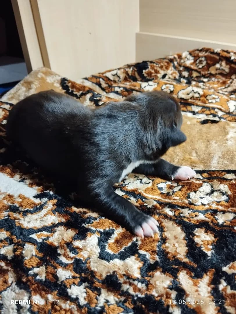 carousel-image-mobile-2