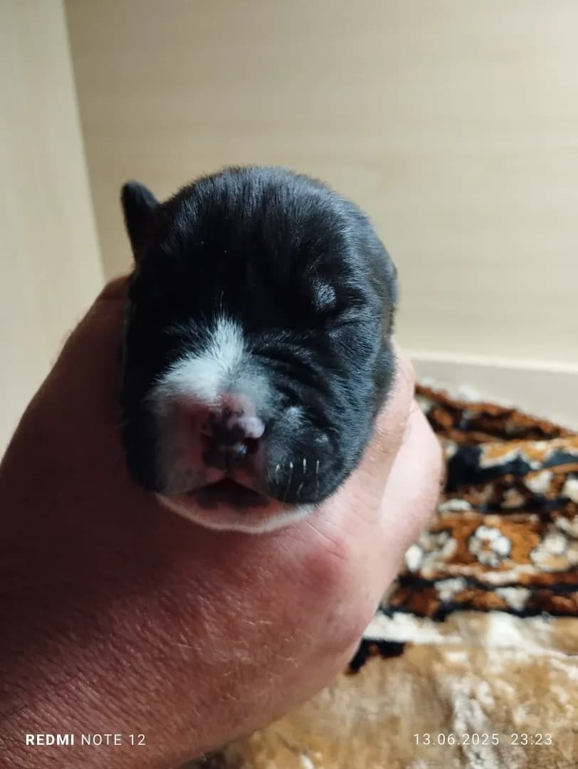 carousel-image-mobile-3