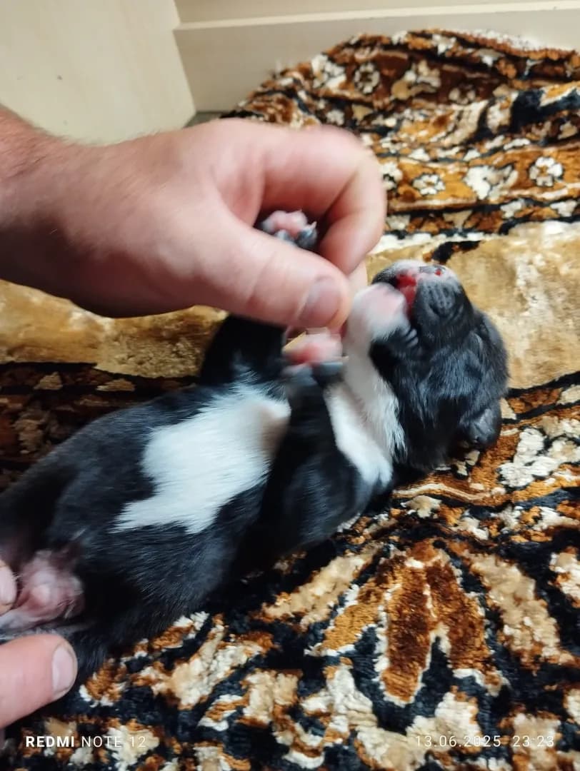 carousel-image-mobile-4