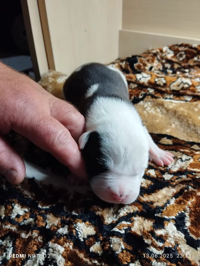 carousel-image-mobile-5