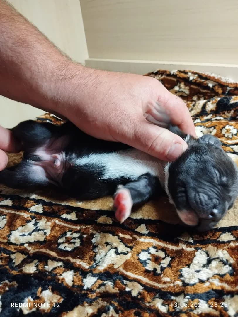 carousel-image-mobile-6