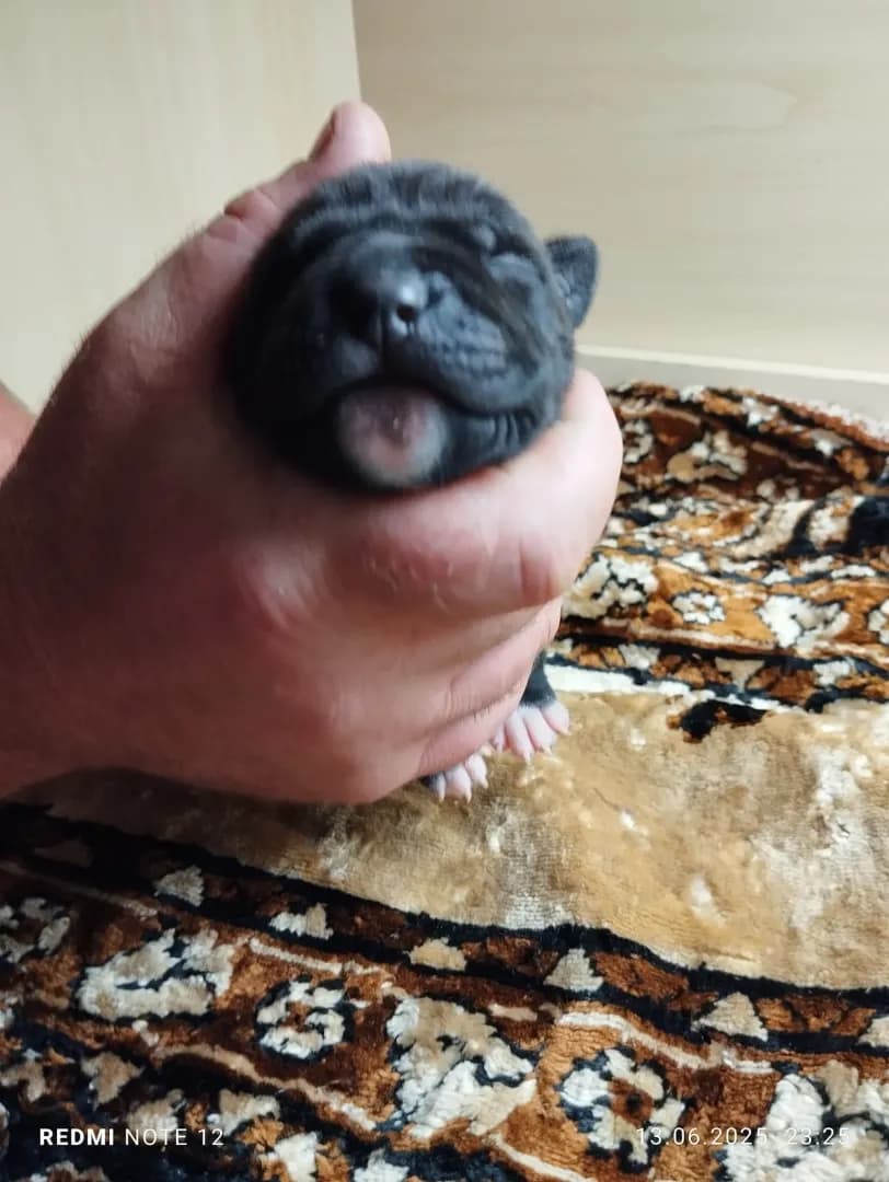 carousel-image-mobile-7