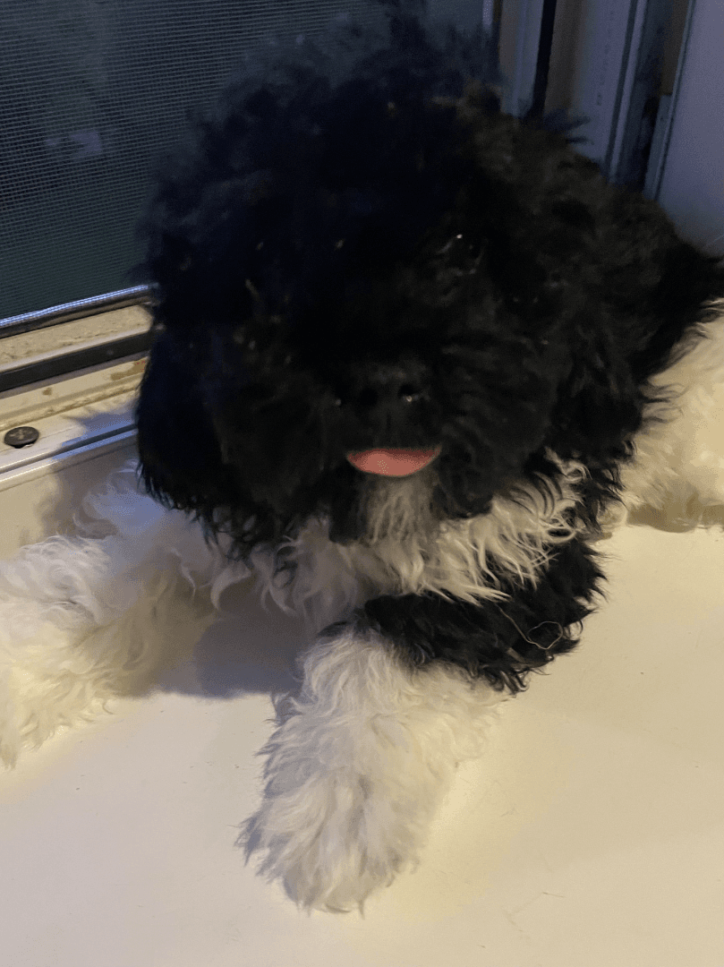 carousel-image-mobile-1