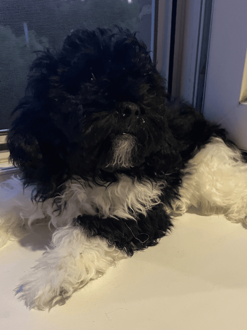 carousel-image-mobile-3