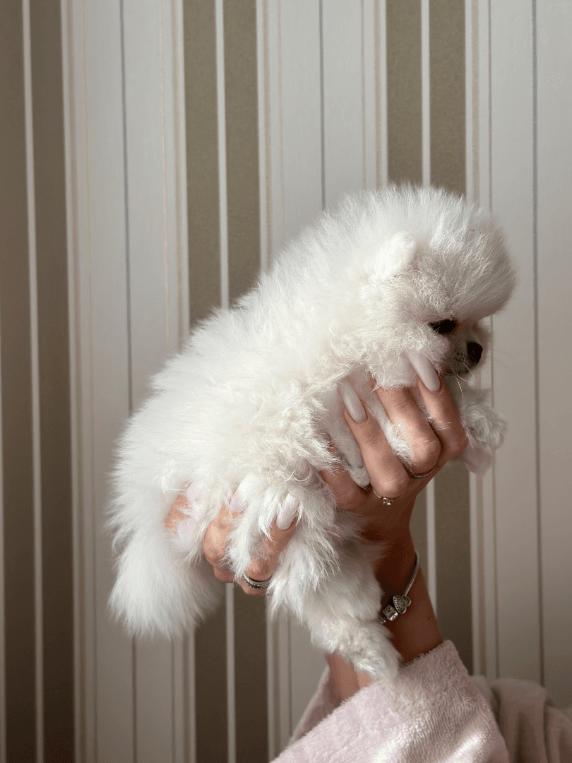 carousel-image-mobile-1