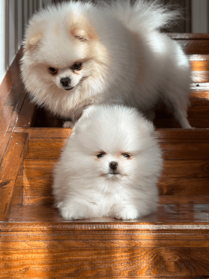 carousel-image-mobile-2