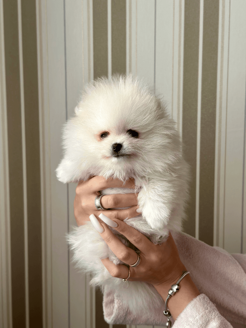 carousel-image-mobile-3