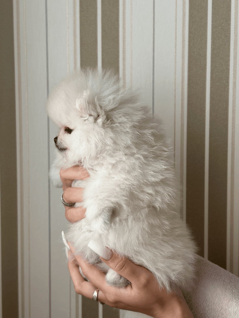 carousel-image-mobile-4