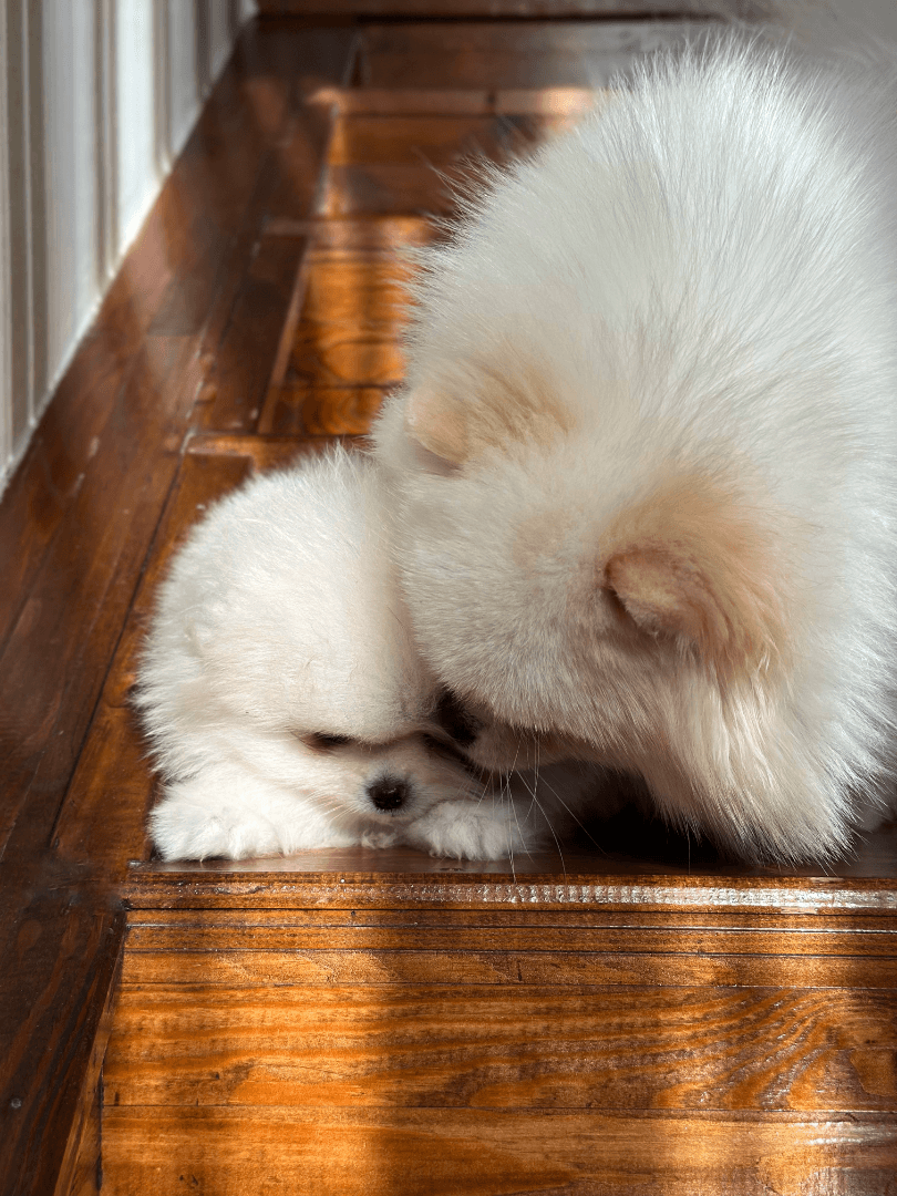 carousel-image-mobile-5