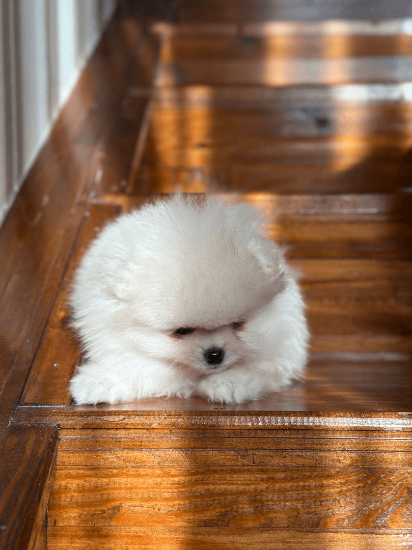 carousel-image-mobile-6