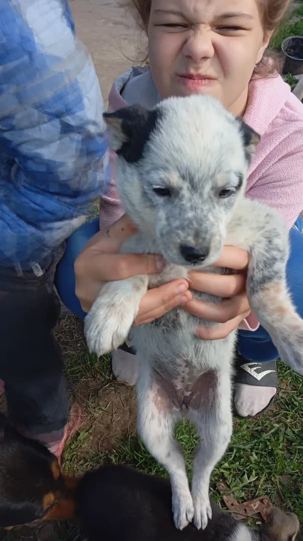 carousel-image-mobile-3