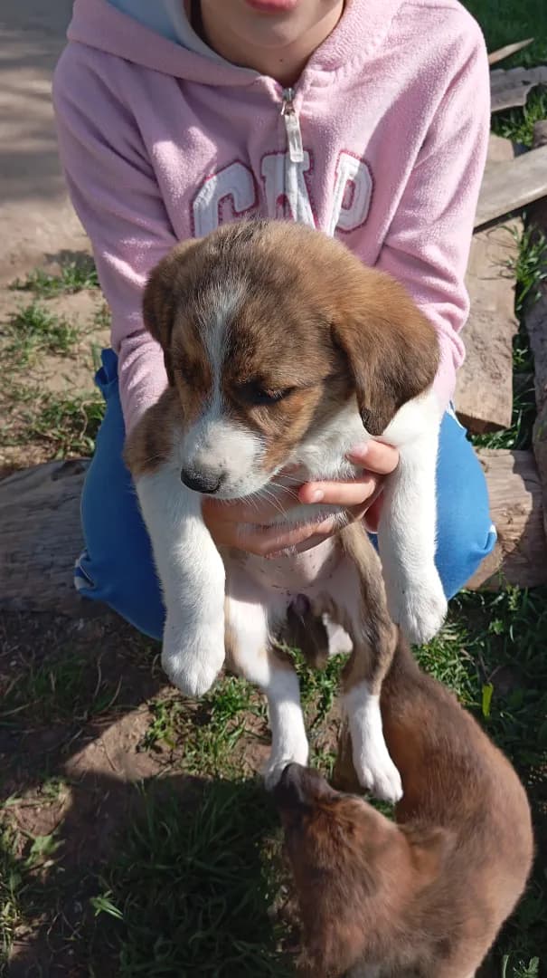 carousel-image-mobile-4