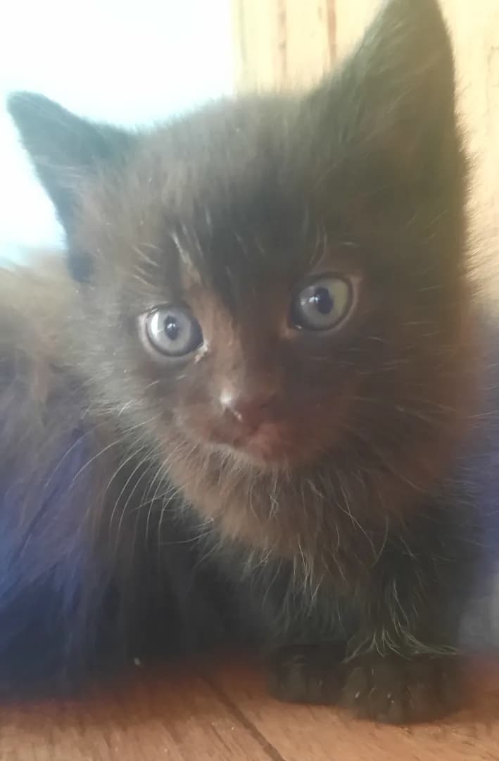 carousel-image-mobile-2