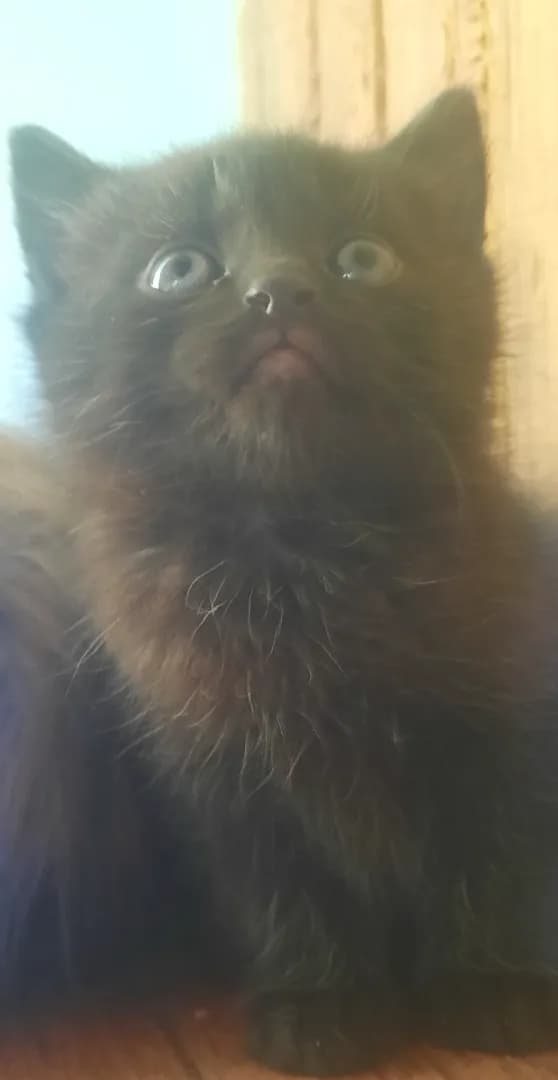 carousel-image-mobile-1