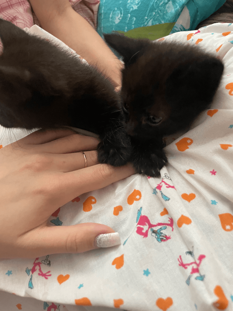 carousel-image-mobile-2