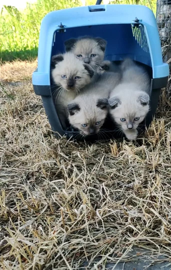 carousel-image-mobile-3