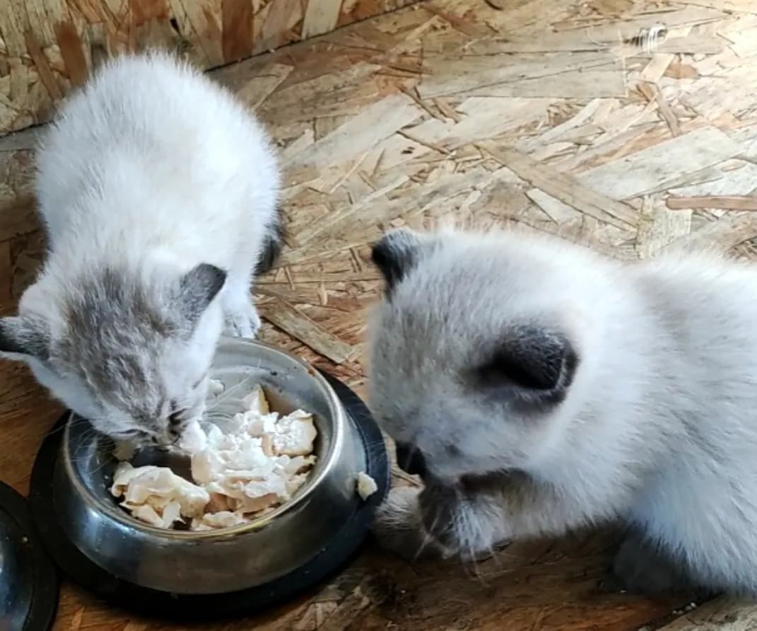 carousel-image-mobile-4