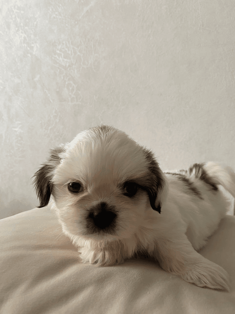 carousel-image-mobile-3