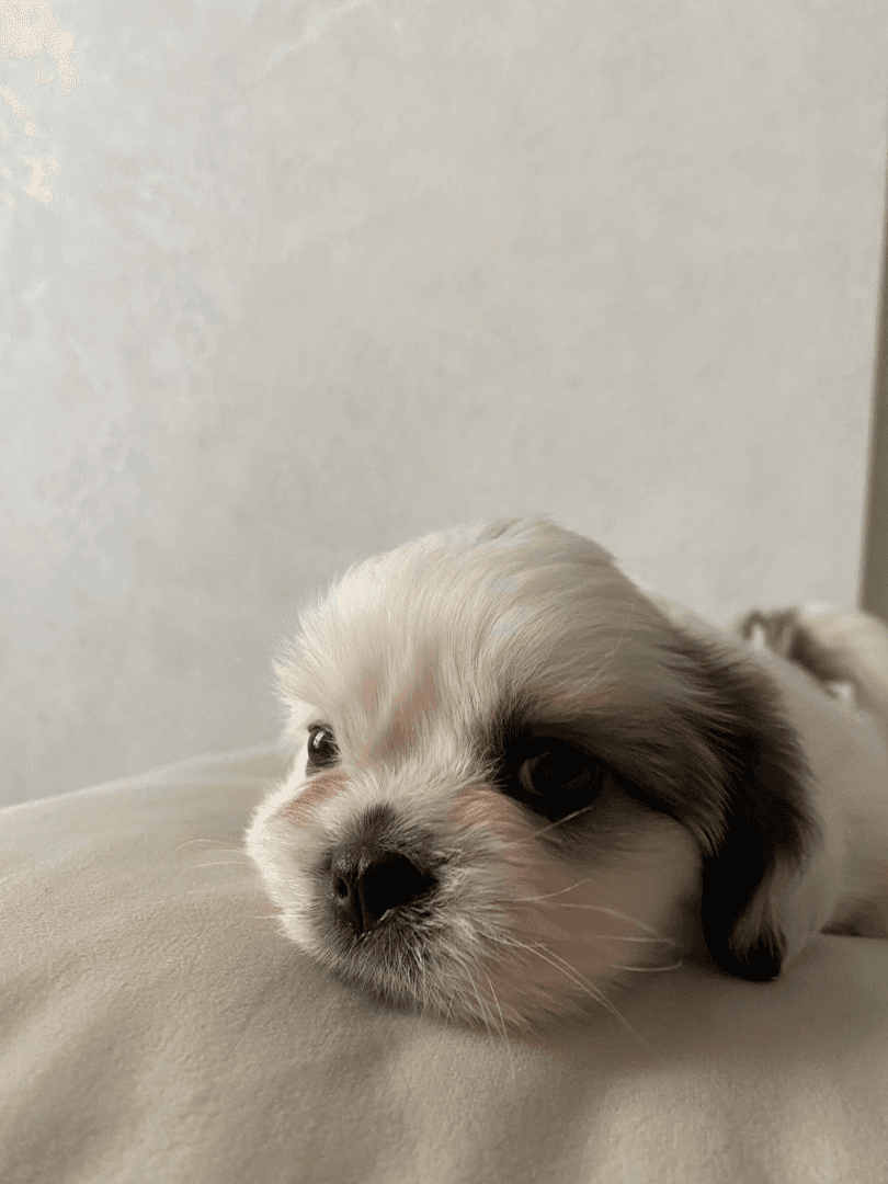 carousel-image-mobile-4