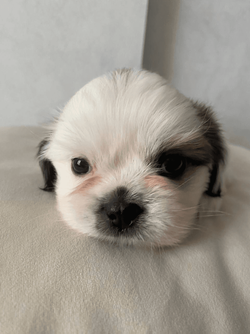 carousel-image-mobile-1