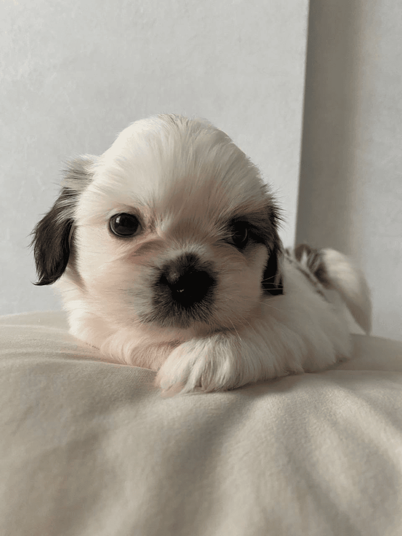 carousel-image-mobile-2