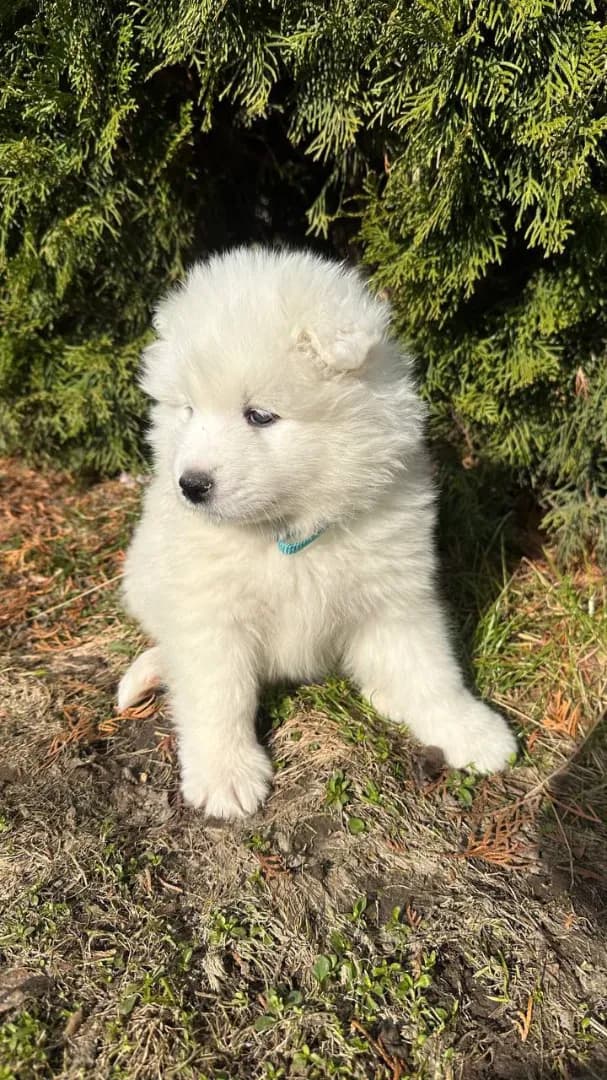 carousel-image-mobile-1