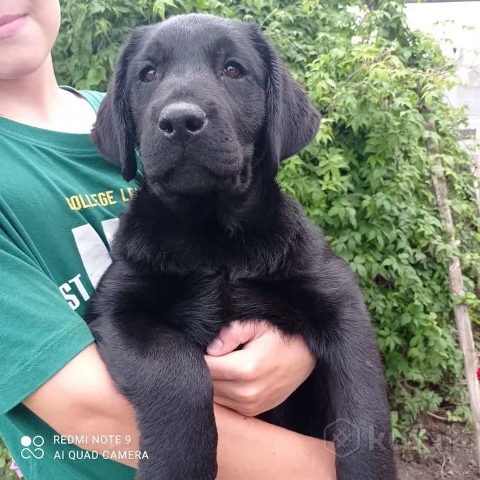 carousel-image-mobile-1