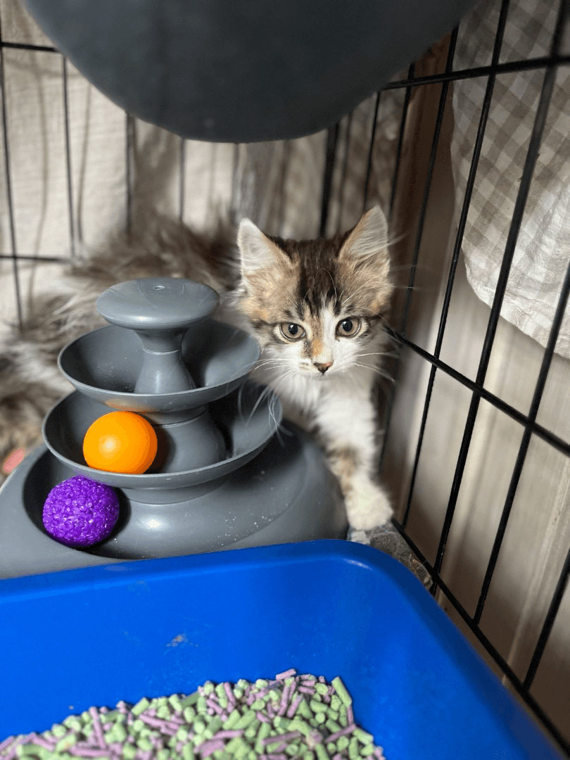 carousel-image-mobile-1