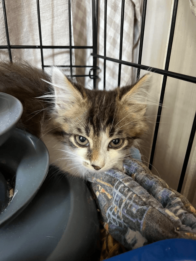 carousel-image-mobile-2